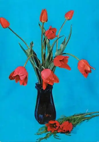 Holiday flower tulip vase Romania