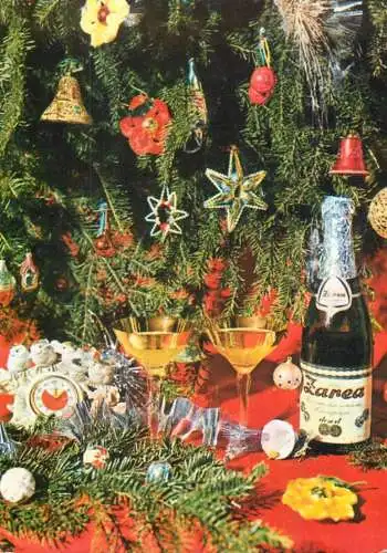 Holiday New Year  Romania Zarea