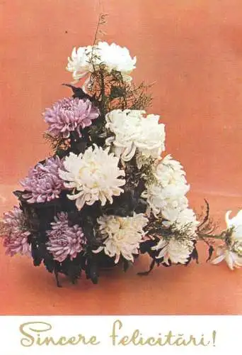 Holiday flowers Romania