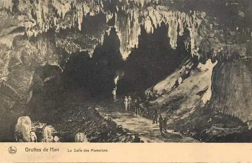 Belgium Grottes de Han la salle des Mamelons