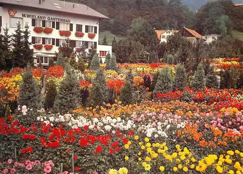 Switzerland Dahlien und Herbstblumenschau