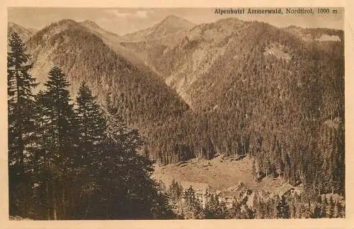 Austria Alpenhotel Ammerwald Nordtirol