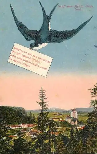 Austria Tirol Grub aus Maria Stein bird