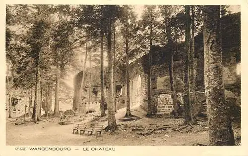 France Isere Wangenbourg le chateau