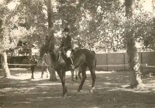 Equestrianism foto 9 x 12 cm