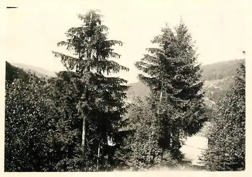 Photo 6 x 9 cm Romania scenic foto