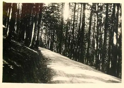 Photo 6 x 9 cm Romania drumul la Poiana 1939