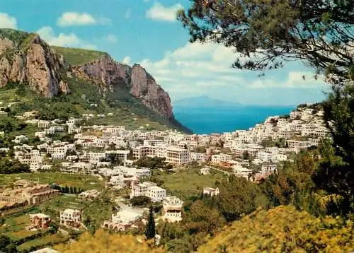 Italy Capri panorama