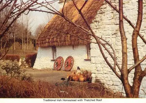Ireland traditional irish homestead with thatched roof