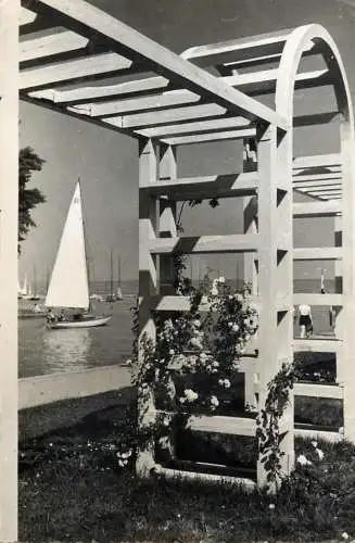 Hungary Siofok grove of roses 1958