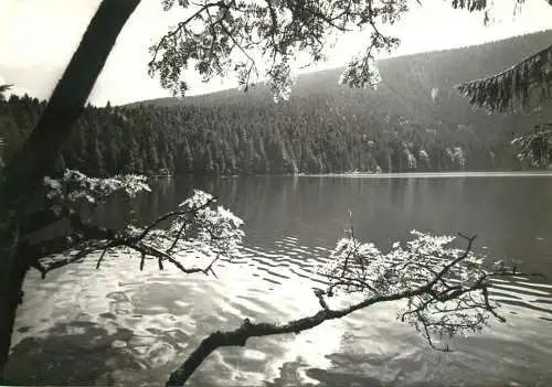 Czech Republic Sumava Cerne jezero