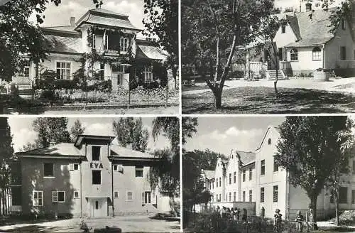 Hungary zamardi reszletek 1960