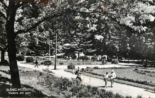 Postcard Romania Slanic Moldova parc