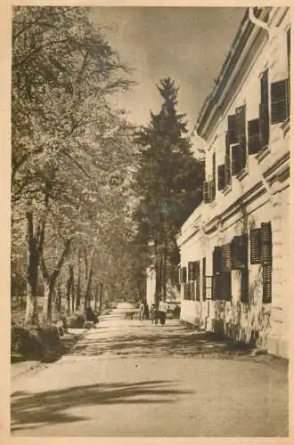 Postcard Romania Oradea baile Victoria