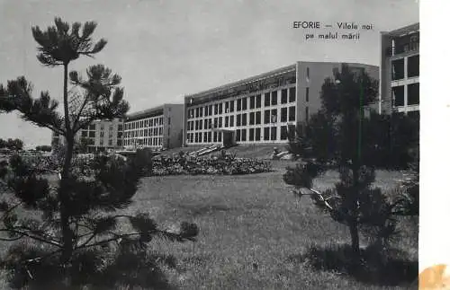 Postcard Romania Efori vilele noi