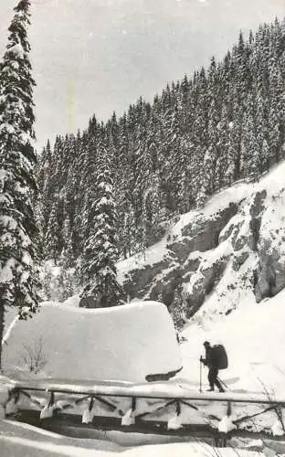 Postcard Romania Muntii Bucegi cheile Zanoagei