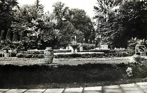 Postcard Romania Buzias parc 1966