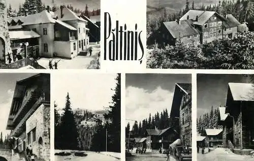Postcard Romania Paltinis 1969
