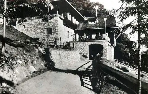 Postcard Romania Bran cabana Predelus