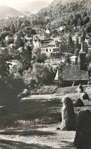 Postcard Romania peisaj la Olanesti