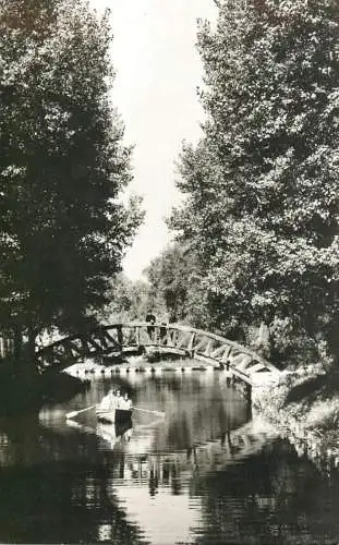 Postcard Romania Pitesti parcul Arges 1966