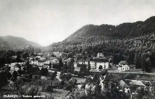 Postcard Romania Olanesti general view