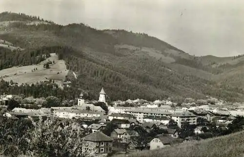 Postcard Romania Campulung Moldovenesc 1967
