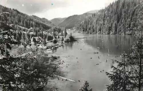 Postcard Romania Lacul Rosu statiune si lac 1963