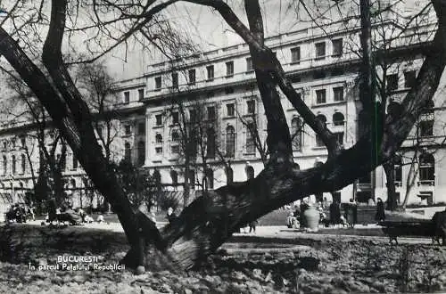 Postcard Romania Bucuresti Palatul republicii