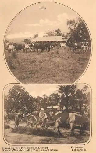 Congo Mission des RRPP Jesuites au Kwango en charette