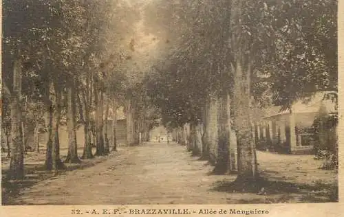 Congo Brazzaville Allee de Manuiers