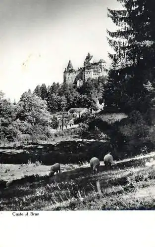 Postcard Romania Castelul Bran
