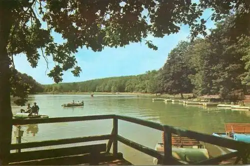 Postcard Romania Sibiu lacul din Dumbrava