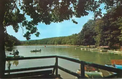 Postcard Romania Sibiu Lacul din Dumbrava 1969
