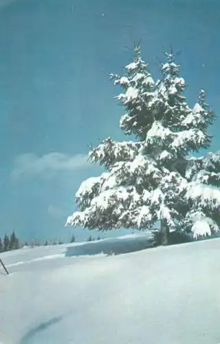 Postcard Romania peisaj de iarna