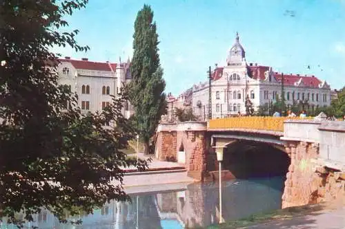 Postcard Romania Timisoara pod peste Bega
