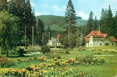 Postcard Romania statiune Borsec 1969