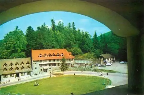 Postcard Romania Predeal vile la Paraul Rece