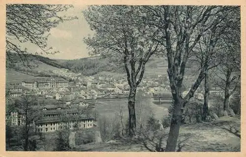 Postcard Czech Republic Zelezny Brod
