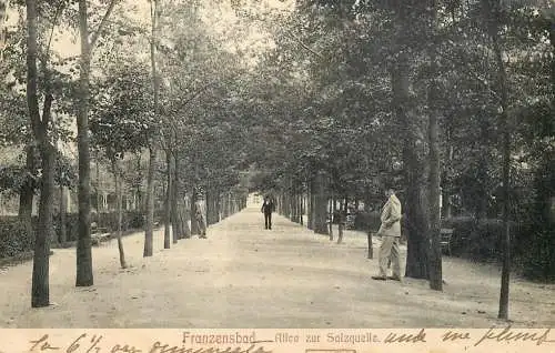 Postcard Czech Republic Franzensbad Allee zur Salzquelle
