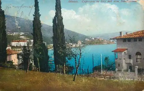 Postcard Croatia Abbazia Cypressen in lcici mit dem Sanatorium