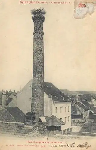 Postcard France Vosges > Saint Die Les Cigognes sur Leur Nid