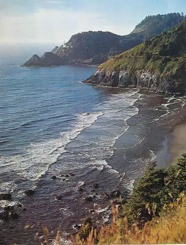 Postcard USA Oregon Lane County Heceta Head