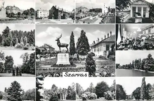 Postcard Hungary Szarvas multi view