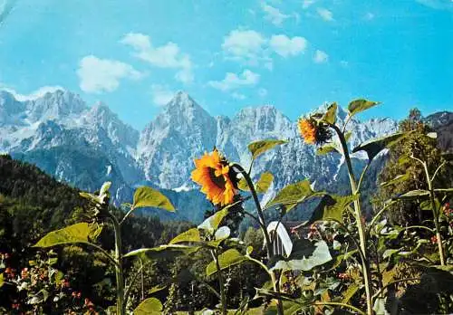 Postcard Slovenia Martuljek 1979