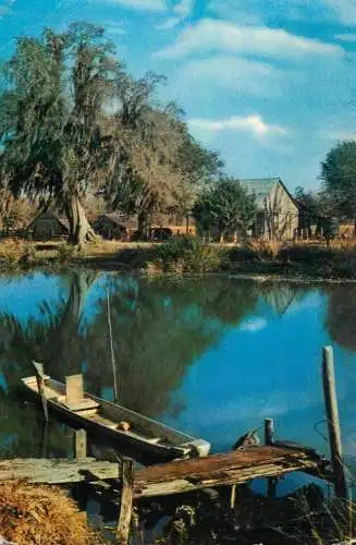 Postcard United States > LA - Louisiana > New Orleans marsh landscape 1974