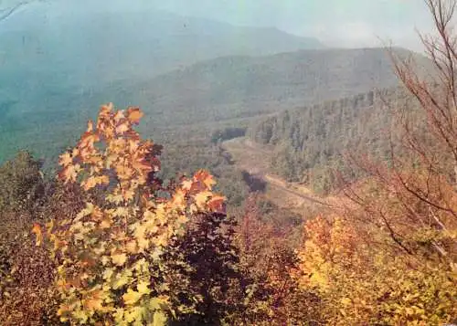 Postcard Hungary Matra landscape