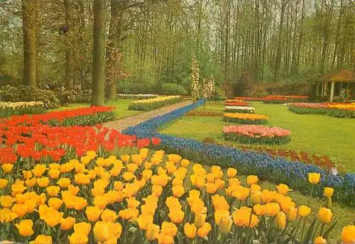 Postcard Netherlands Keukenhof Lisse Holland flower bed