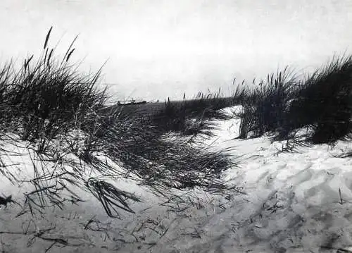 Postcard Poland Myedzyzdroje beach sand dunes
