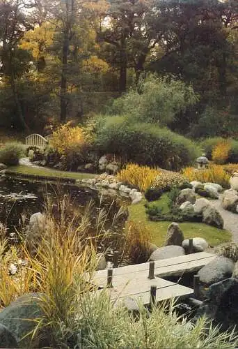 Postcard Sweden Bergianska Tradgarden japanska dammen